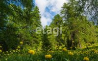 Лот: 25286988. Фото: 11. квартира , Красноярск проспект...