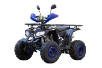 Лот: 25659188. Фото: 2. Квадроцикл UNIVERSAL ATV 125 TM... Мототехника