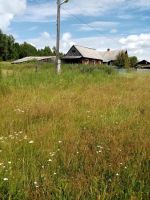 Лот: 25356847. Фото: 2. Дом 42,4 м² на участке 20 сот. Продажа