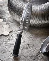 Лот: 25315996. Фото: 7. Нож «Samura DAMASCUS» Сантоку...