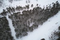 Лот: 19922373. Фото: 4. Земельный участок в лесу п.Манский... Красноярск