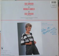 Лот: 17693002. Фото: 2. C.C. Catch ‎– Soul Survivor. Коллекционирование, моделизм