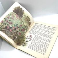 Лот: 25169609. Фото: 12. 📗 Анатолий Онегов. На лугу. Худ...