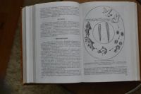 Лот: 10753513. Фото: 4. Паразитология и инвазионные болезни... Красноярск