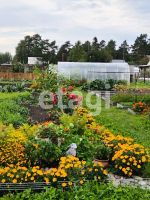 Лот: 25288658. Фото: 18. 2-комн. дача , деревня Гладкое...
