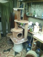 Лот: 5425840. Фото: 3. домик для кошек. Растения и животные