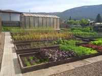 Лот: 25605496. Фото: 11. 3-комн. дача , СНТ Мана СНТ Мана...