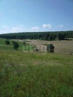Лот: 25882713. Фото: 4. участок , деревня Погорелка Крайняя... Красноярск