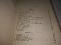 Лот: 25070555. Фото: 7. ок.(1092349*2)..Охотничьи просторы...