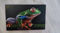 Лот: 24568530. Фото: 4. Картина холст акрил "лягушка... Красноярск