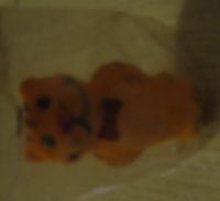 Лот: 16538911. Фото: 3. Игрушка-cувенир "Тигр". Дети растут