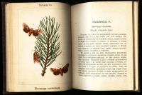 Лот: 20842963. Фото: 10. Вредители хвойного леса.( книжка...