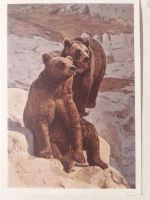 Лот: 15333816. Фото: 3. Советские открытки. Тема: Дикие... Коллекционирование, моделизм