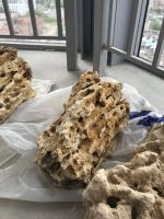 Лот: 11603131. Фото: 4. Песчаник. Красноярск