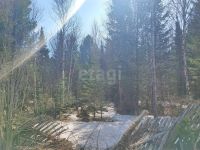 Лот: 25285198. Фото: 13. 2-комн. дача , садоводческое некоммерческое...