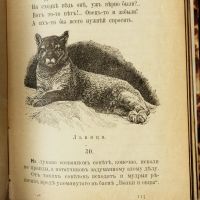 Лот: 15387409. Фото: 20. Пятьдесят басен И.А. Крылова...