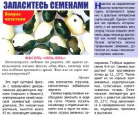 Лот: 10504503. Фото: 6. фасоль Инь-Ян. чудесные пятна-шки