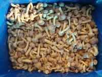 Лот: 7073885. Фото: 2. Опята замороженные. Продукты