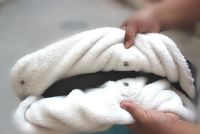 Лот: 5036366. Фото: 3. Муфта на коляску. Дети растут