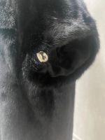 Лот: 21107054. Фото: 4. Норковая шуба с капюшоном (размер... Красноярск