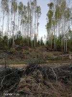 Лот: 15988770. Фото: 5. Земельный участок ДНТ Новый Мир...