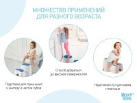 Лот: 17852021. Фото: 2. Ступенька-подставка двойная Roxy-Kids... Игрушки