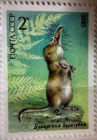 Лот: 12960388. Фото: 2. Марки Фауна. Из Красной книги... Коллекционирование, моделизм
