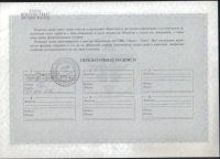 Лот: 9102207. Фото: 2. Акция Гермес 1994 год * г. Тюмень... Открытки, билеты и др.