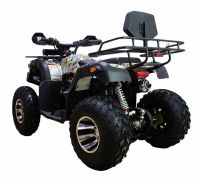 Лот: 25364865. Фото: 5. Квадроцикл ATV Classic 200 Premium