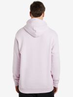 Лот: 22416860. Фото: 2. Худи мужская Reebok Skate Hoodie... Спортивная одежда