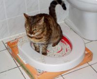 Лот: 6849862. Фото: 3. Наполнитель для кошачьго туалета... Растения и животные