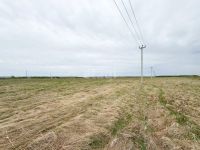 Лот: 25296437. Фото: 3. участок , СНТ Дружба СНТ Дружба... Недвижимость