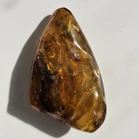 Лот: 25335738. Фото: 7. Янтарь с инклюзом (Жук)