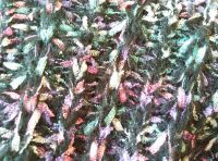 Лот: 6841148. Фото: 4. Джемпер женский "ленточки" р.52... Красноярск