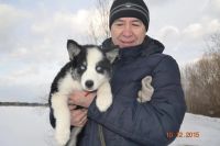Лот: 6511769. Фото: 2. Продам. Животные и уход