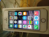 Лот: 5039570. Фото: 2. iphone 5s 64Gb GOLD висит на шнурке. Смартфоны, связь, навигация