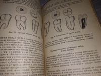 Лот: 17560237. Фото: 8. Кудрин И.С. Анатомия органов полости...