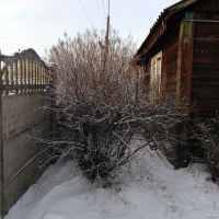 Лот: 13035134. Фото: 4. Продам полдома в Ермолаевском... Красноярск