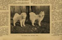Лот: 16999009. Фото: 7. Журнал Охотник. * № 7 Июль...