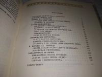 Лот: 16134054. Фото: 11. Преображенский А. А., История...