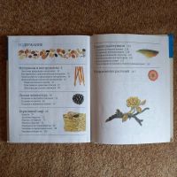 Лот: 20226128. Фото: 5. Поделки из природных материалов...