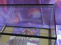 Лот: 5185394. Фото: 3. Аквариум черепашник 71л. Растения и животные