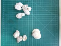 Лот: 12462229. Фото: 2. Коралл натуральный и ракушки. Аквариумистика