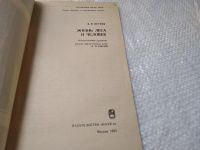 Лот: 19264930. Фото: 2. Петров В.В. Жизнь леса и человек... Наука и техника