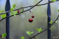 Лот: 9614906. Фото: 4. Canon EF-S 18-200mm f/3.5-5.6...