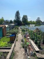 Лот: 25527082. Фото: 2. 3-комн. дача , СНТ Речник СНТ... Продажа