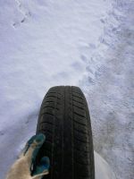 Лот: 11220926. Фото: 2. Колеса в сборе на литье. Шины, Диски