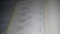 Лот: 9487474. Фото: 5. Младшая муза, Поэль Карп, Книга...