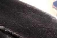 Лот: 6497927. Фото: 2. Норковая шуба в идеале (Nafa Mink... Женская одежда