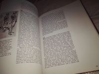 Лот: 14329397. Фото: 9. Мир Леонардо,....Леонардо да Винчи...